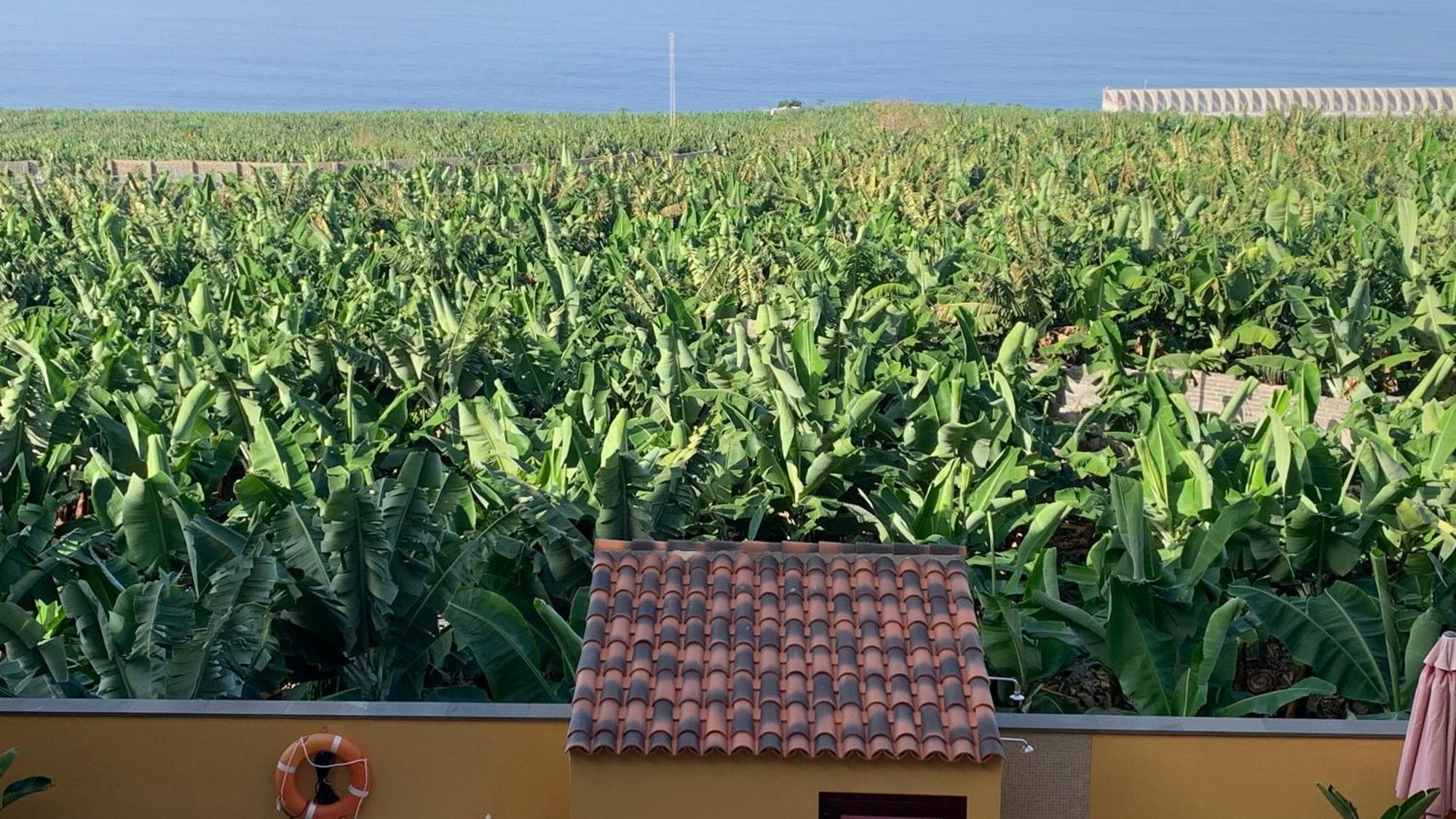 Apartamento Los Guirres Tazacorte Exteriér fotografie